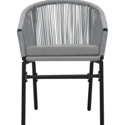 vidaXL - Tuinstoelen - Grijs - Polyetheen - 2 stuks