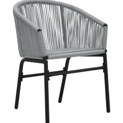 vidaXL - Tuinstoelen - Grijs - Polyetheen - 2 stuks