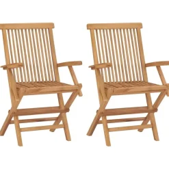 vidaXL - Tuinstoelen - Inklapbaar - Massief teakhout - 2 stuks