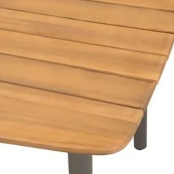 vidaXL - Tuintafel En Stoel - Bruin - Hout