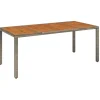 vidaXL - Tuintafel Met Houten Blad - Grijs - Poly rattan - 190 x 90 x 75 cm