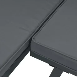 vidaXL - Verstelbare Tuinbanken met kussens zwart - Gepoedercoat staal - 2 stuks