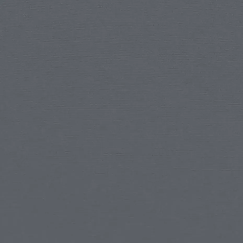 vidaXL - Verstelbare Tuinbanken met kussens zwart - Gepoedercoat staal - 2 stuks