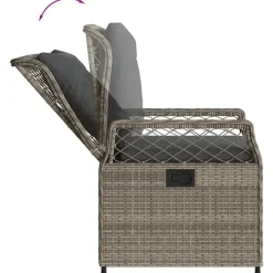 vidaXL - Verstelbare tuinstoelen - Grijs - Poly rattan - 2 stuks