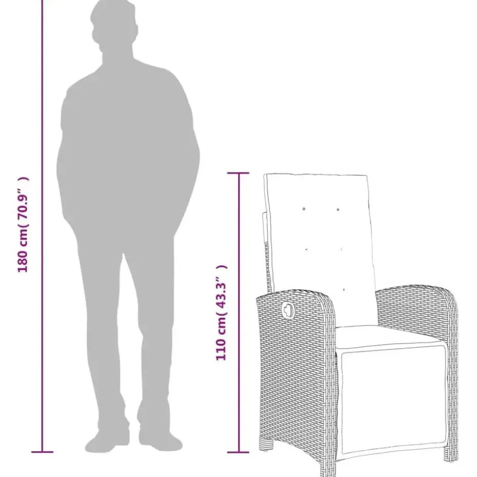 vidaXL - Verstelbare tuinstoelen en voetensteun - Grijs - Poly rattan - 2 stuks