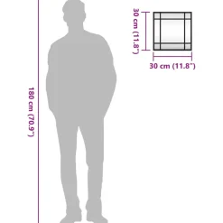 vidaXL - Wandspiegel - Zwart - IJzer - 30 x 30 cm