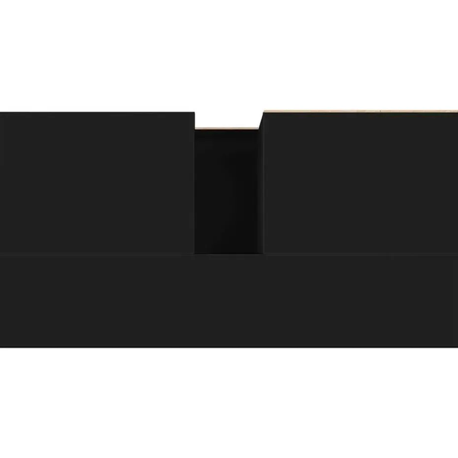 vidaXL - Wastafelonderkast met 2 lades - Zwart - Hout en ijzer - 65x33x60 cm