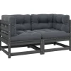 vidaXL - 2-zits Bank - Grijs - Grenenhout