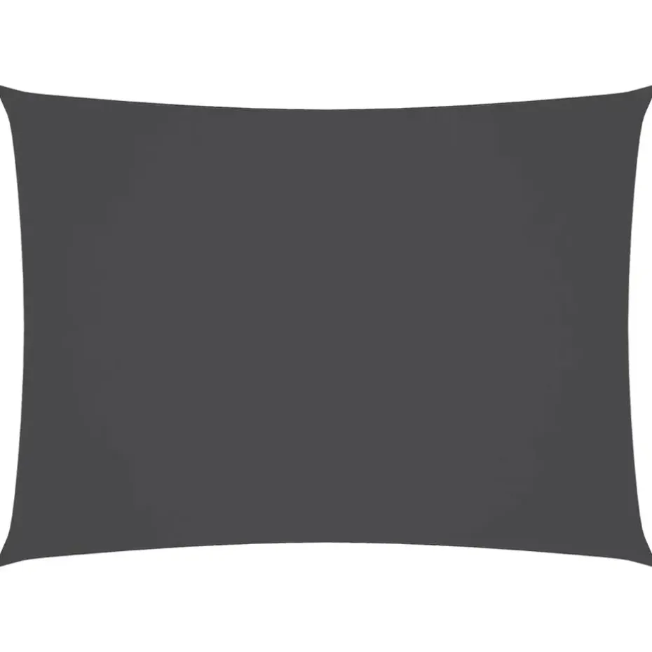 vidaXL - Zonnezeil - Antraciet - 2.5 x 4.5 m