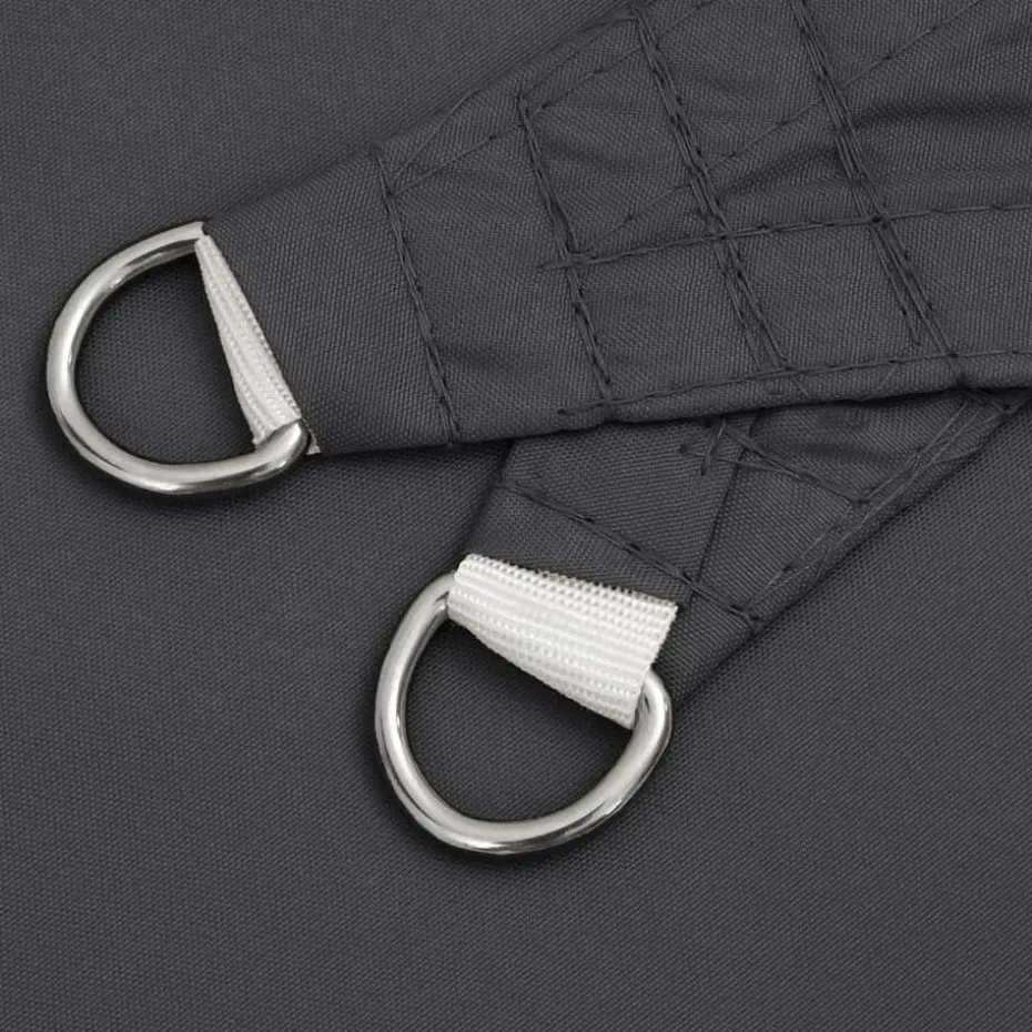 vidaXL - Zonnezeil - Antraciet - 2.5 x 4.5 m