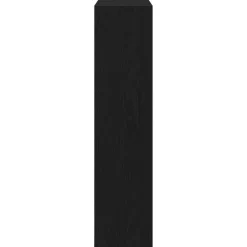 vidaXL - Zwart Schoenenkast met 2 vakken - Bewerkt hout - 80x21x87.5 cm