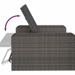 VIDAXL 2-delige Loungeset met kussens poly rattan grijs