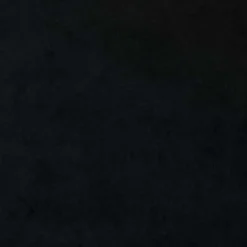 vidaXL Gordijnen met ringen - Verduisterend - Zwart Fluweel - 140x245 cm - 2 St.