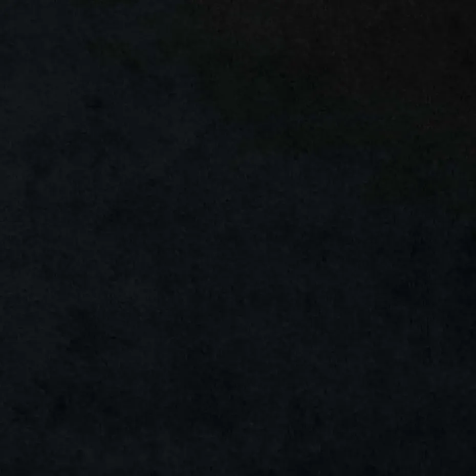 vidaXL Gordijnen met ringen - Verduisterend - Zwart Fluweel - 140x225 cm - 2 St.