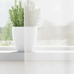 vidaXL Gordijnen van voile met lussen - Wit - 140x260 cm - Stof - 2 Stuks