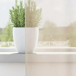 vidaXL Gordijnen van voile met lussen - Crème - 140x245 cm - Stof - 2 Stuks