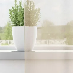 vidaXL Gordijnen van voile met lussen - Crème - 140x225 cm - Stof - 2 Stuks