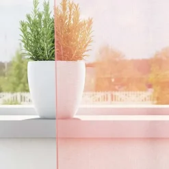 vidaXL Gordijnen van voile met lussen - Roze - 140x245 cm - Stof - 2 Stuks