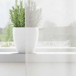 vidaXL Gordijnen van voile met ringen - Wit - 140x245 cm - Stof - 2 Stuks