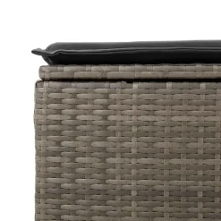 vidaXL Loungebank 2 zits met kussens poly rattan - Grijs krukken 110x55x37 cm