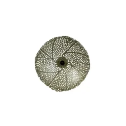 Wandlamp Sinula - Goud - Ø39cm