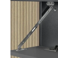 Wisla - Wastafelonderkast 80 cm met 1 deur 1 lade 1 klep in antraciet eikenoptik